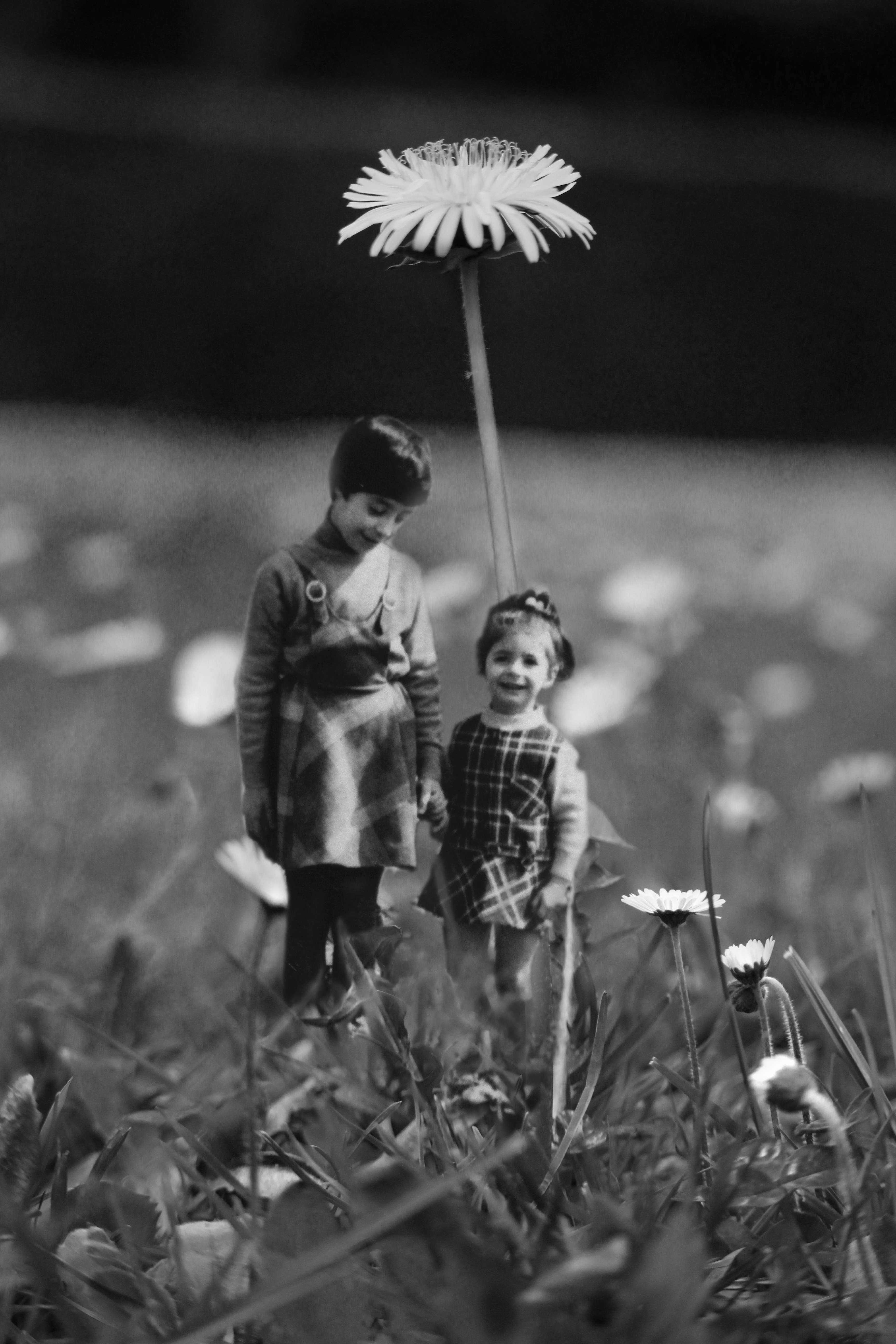 Garden Memories © 2016 by Giulia Ghisleni is licensed under CC BY-NC-ND 4.0