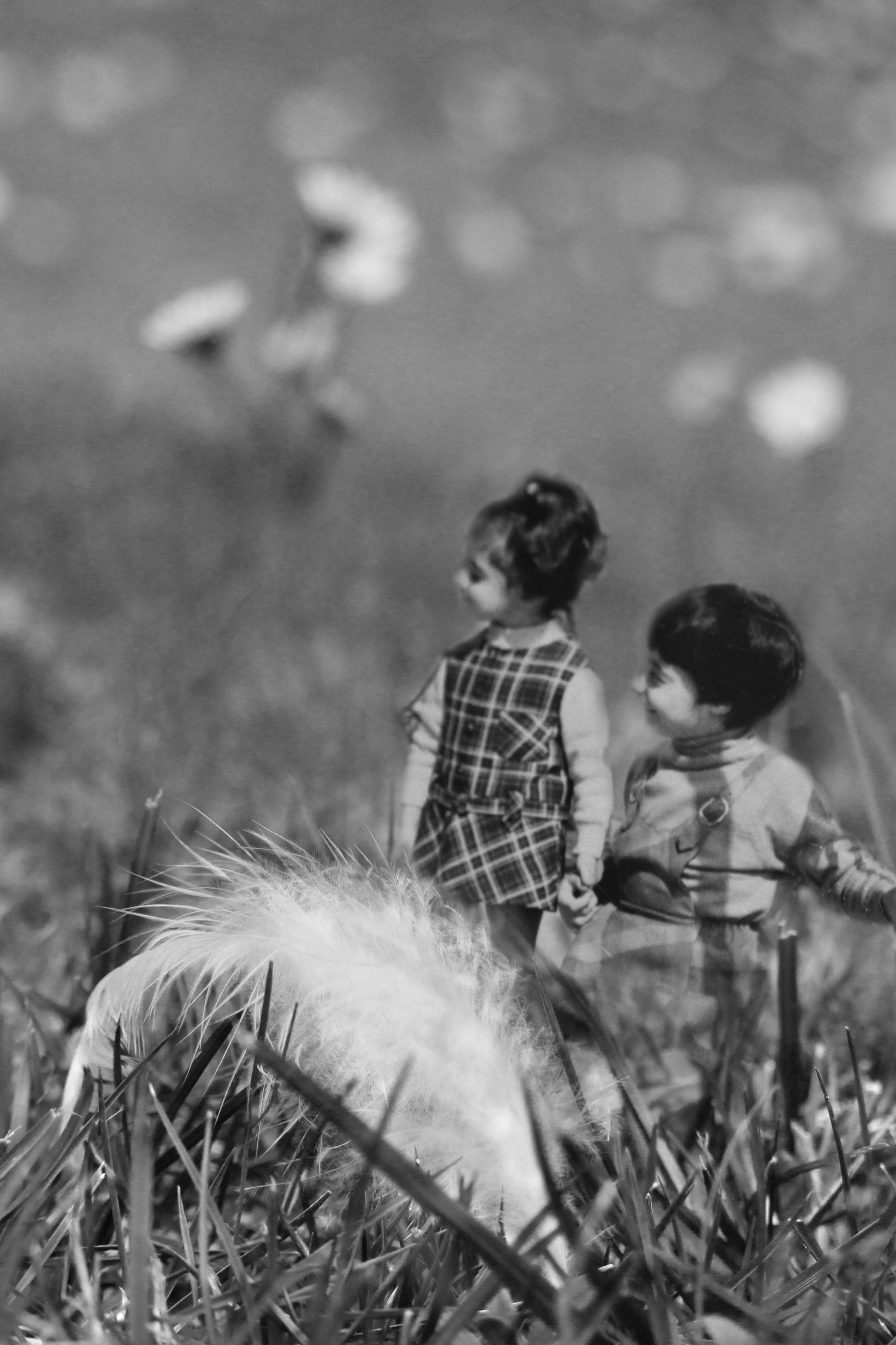 Garden Memories © 2016 by Giulia Ghisleni is licensed under CC BY-NC-ND 4.0